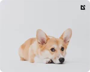 Defender - Коврик для компьютерной мыши Pixel